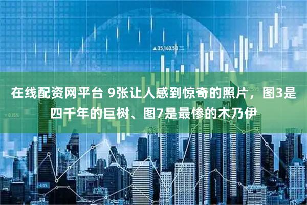 在线配资网平台 9张让人感到惊奇的照片，图3是四千年的巨树、图7是最惨的木乃伊