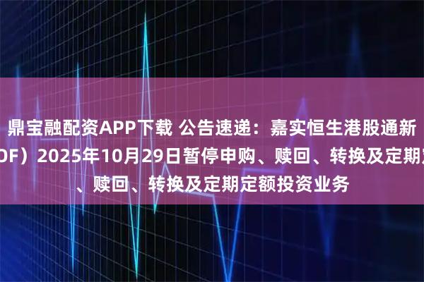 鼎宝融配资APP下载 公告速递：嘉实恒生港股通新经济指数（LOF）2025年10月29日暂停申购、赎回、转换及定期定额投资业务