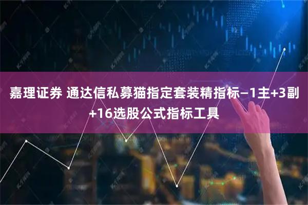 嘉理证券 通达信私募猫指定套装精指标—1主+3副+16选股公式指标工具