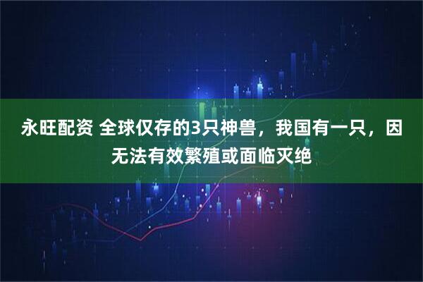 永旺配资 全球仅存的3只神兽，我国有一只，因无法有效繁殖或面临灭绝