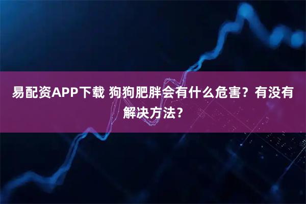 易配资APP下载 狗狗肥胖会有什么危害？有没有解决方法？