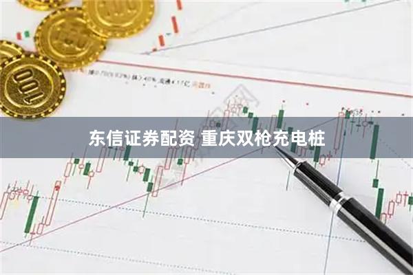 东信证券配资 重庆双枪充电桩