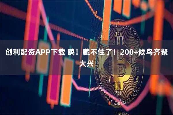 创利配资APP下载 鸥！藏不住了！200+候鸟齐聚大兴